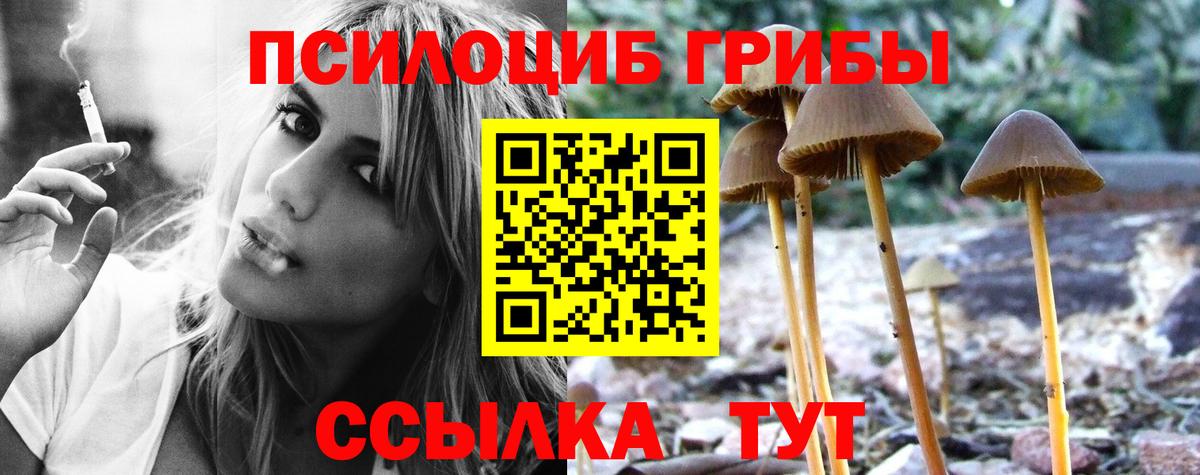 Галлюциногенные грибы Psilocybine cubensis  Вход с VPN  Балахна 